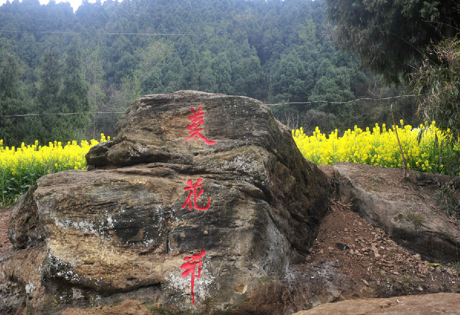熱烈祝賀南部縣首屆菜花節(jié)隆重召開！