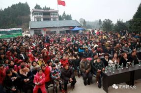村晚十五周年盛典，星光大道明星與您同慶！