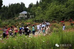 南部縣首屆微電影節(jié)開幕式精彩視頻，怎容錯過！