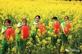 抗擊疫情 擁抱春天，2020南部縣西水鎮(zhèn)網(wǎng)絡(luò)油菜花文化節(jié)